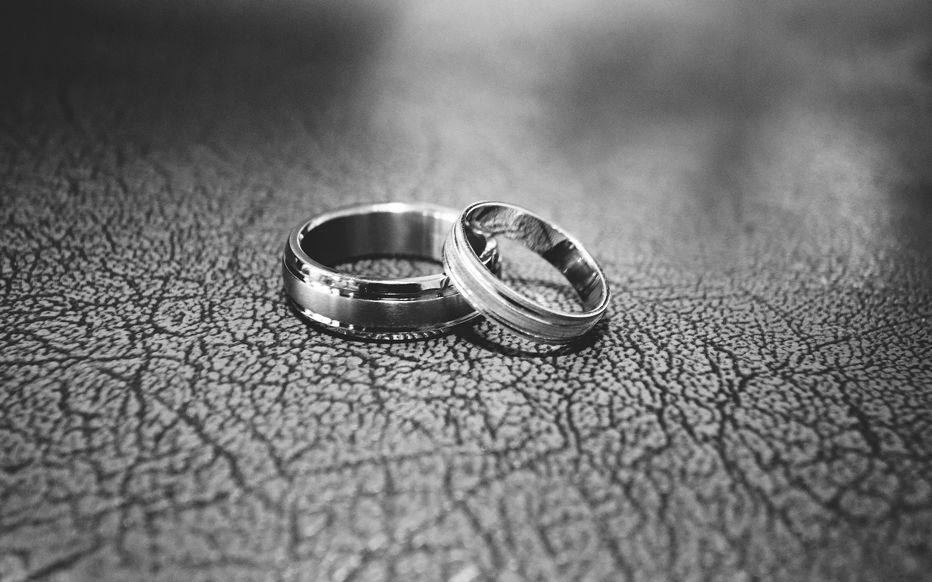 bodas-tematicas-albacete